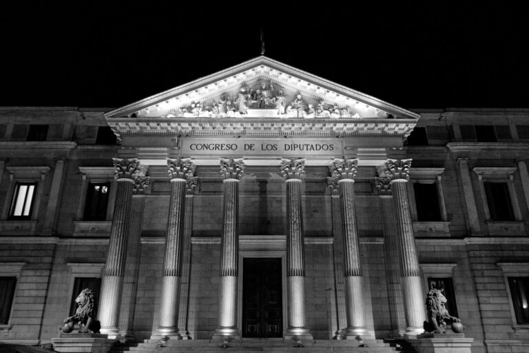 Ruta del Cacao en San Francisco de Macorís: De la Plantación a la Taza