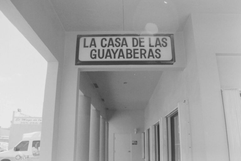 Ruta de las Hortensias en Bonao: Descubre la Flora Más Bella de República Dominicana