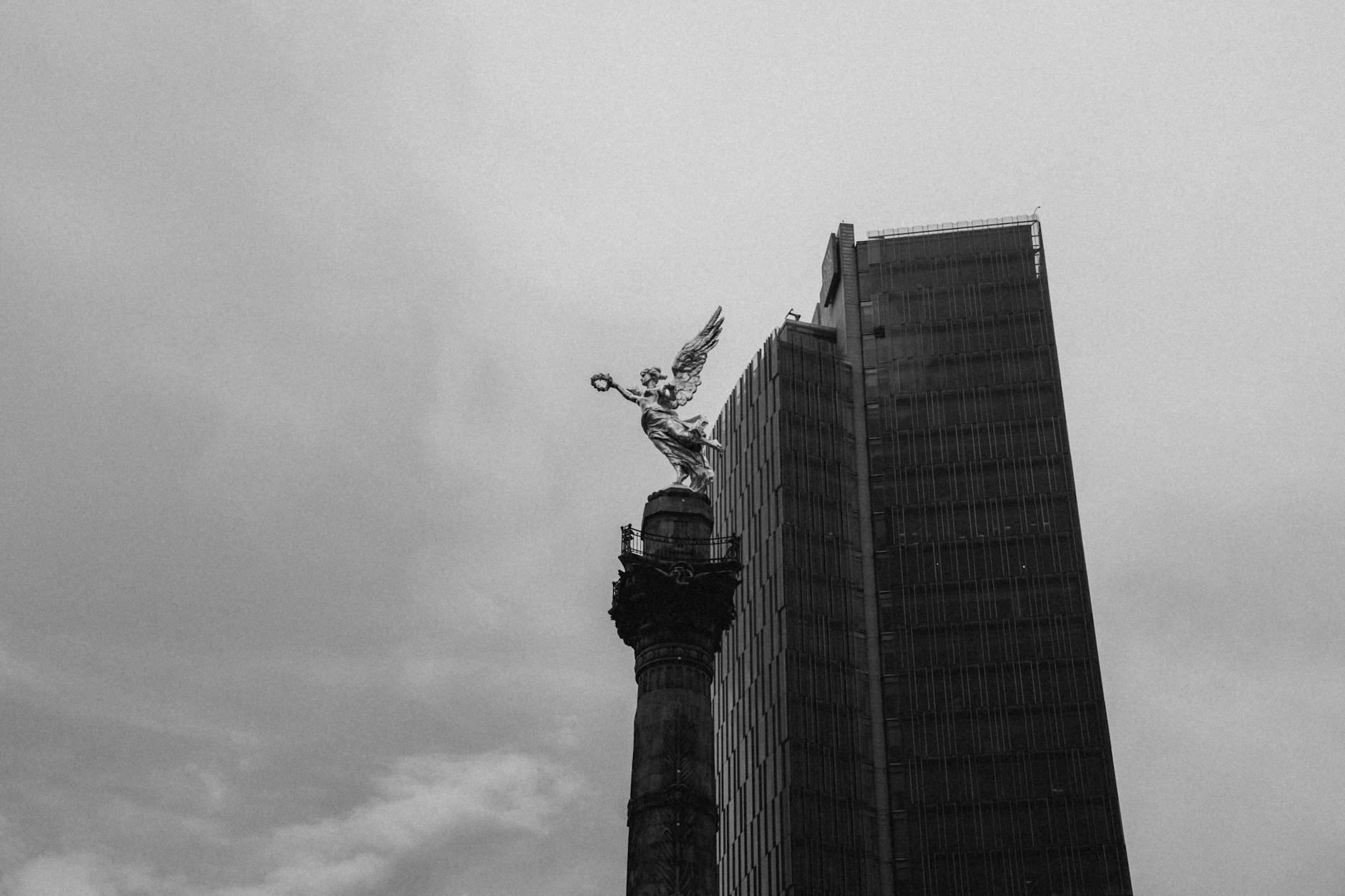 Ruta de las Hortensias: El Paseo Floral Más Hermoso de Bonao