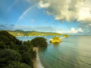 Avistamiento de Ballenas en Samaná: La experiencia marina más emocionante del Caribe