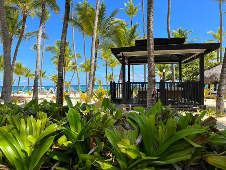 Relajación y Aventura: Tu Guía Completa para Punta Cana