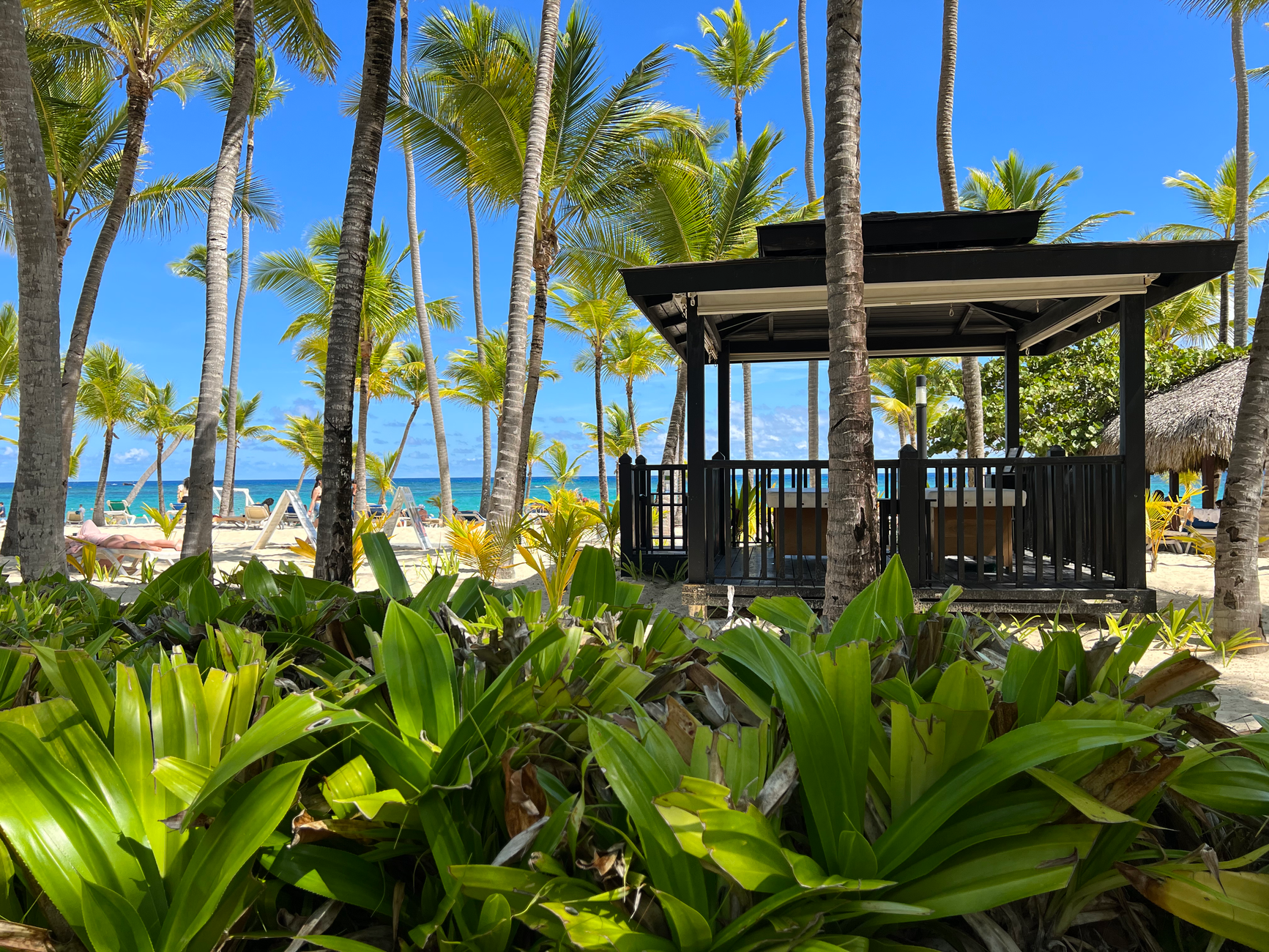 Relajación y Aventura: Tu Guía Completa para Punta Cana