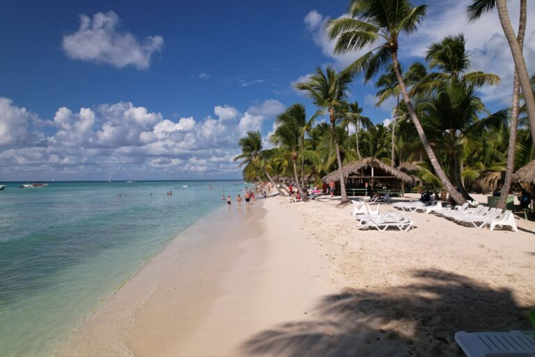 Explora la Gastronomía Típica de Punta Cana