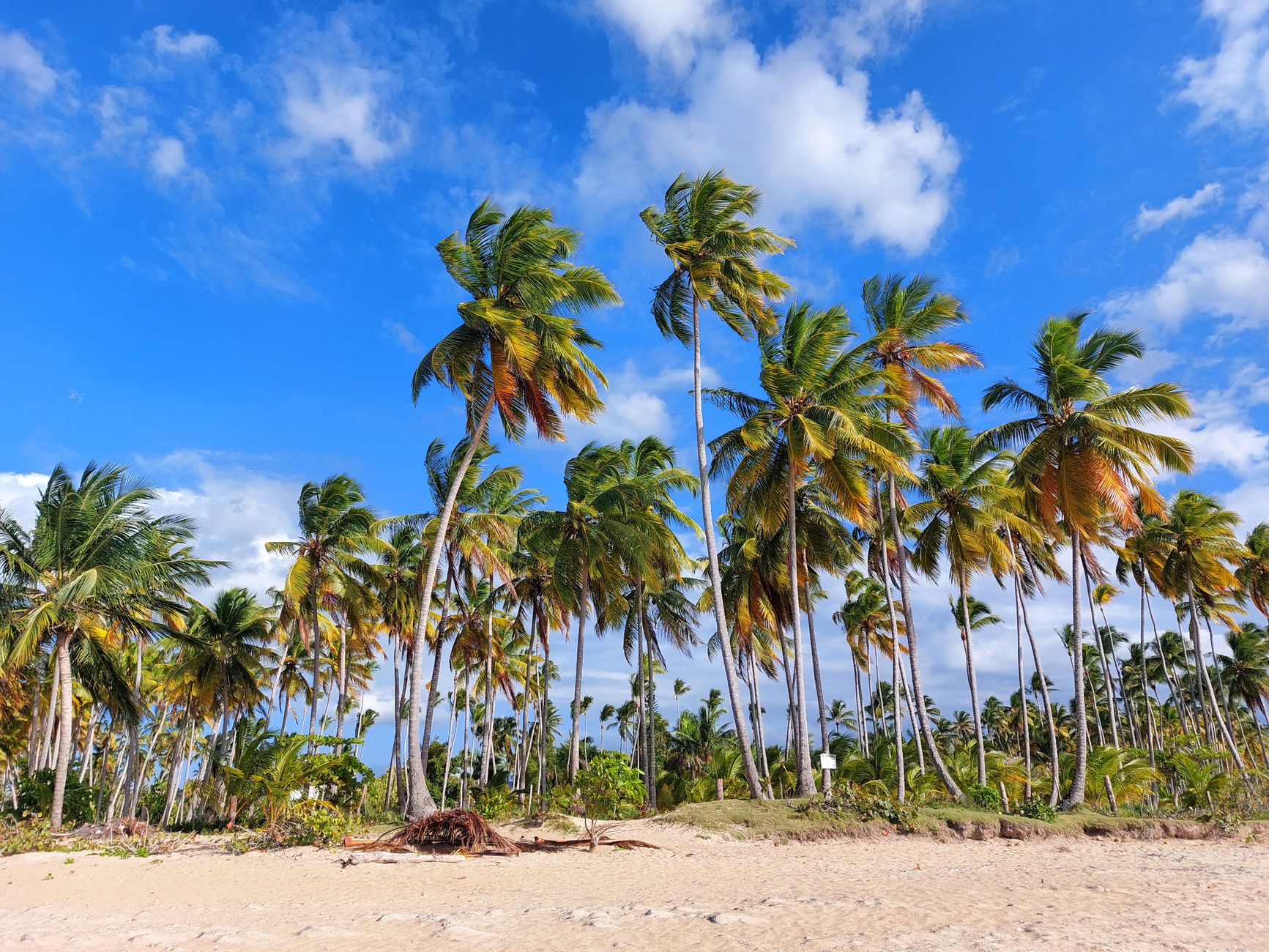 Explora las Islas de Las Terrenas en un Día
