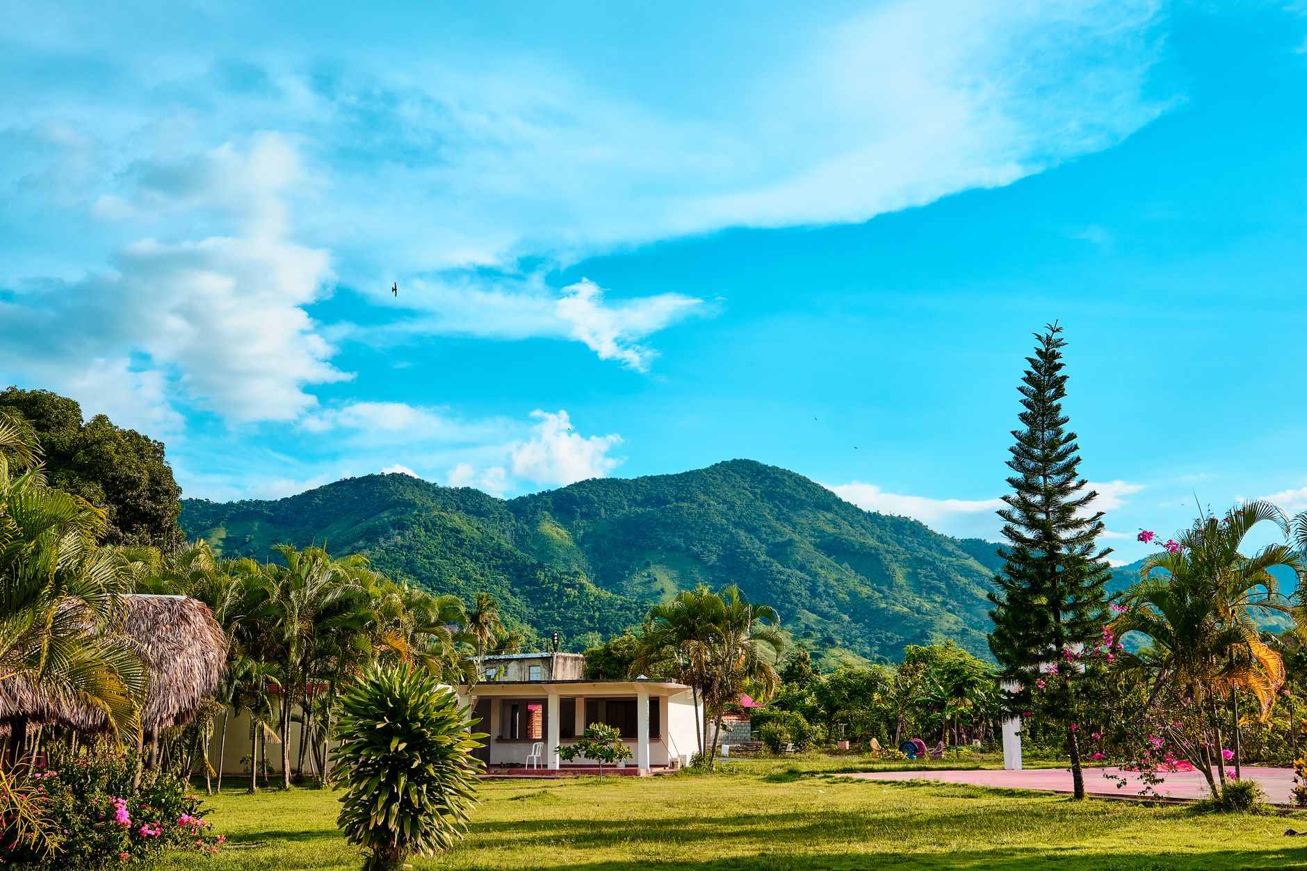 Aventuras en Moca: Un Destino Turístico de Ensueño