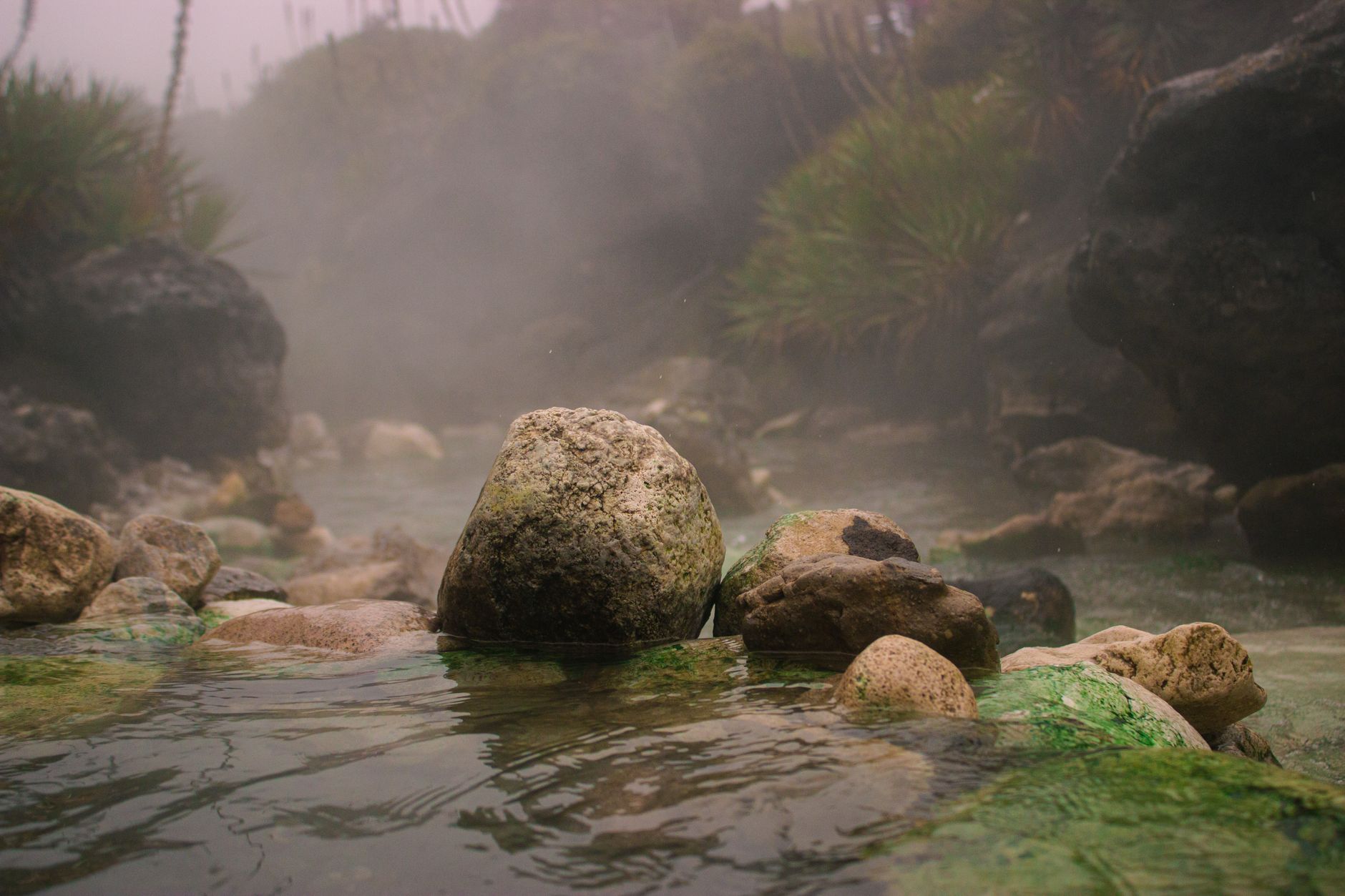 Explora las aguas termales de Nagua, República Dominicana