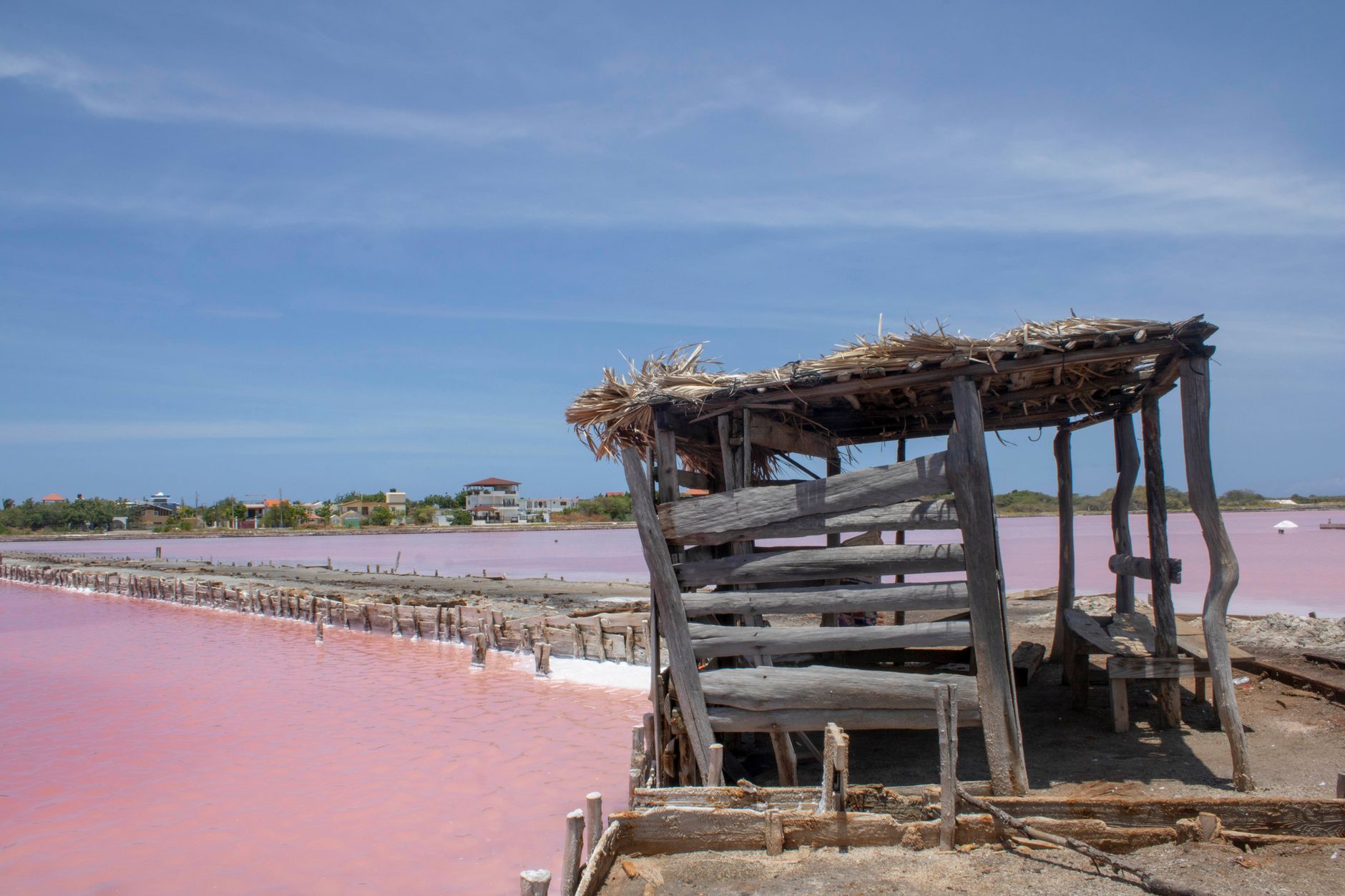 Explora la Fascinante Industria de los Cacos en Jimaní, RD