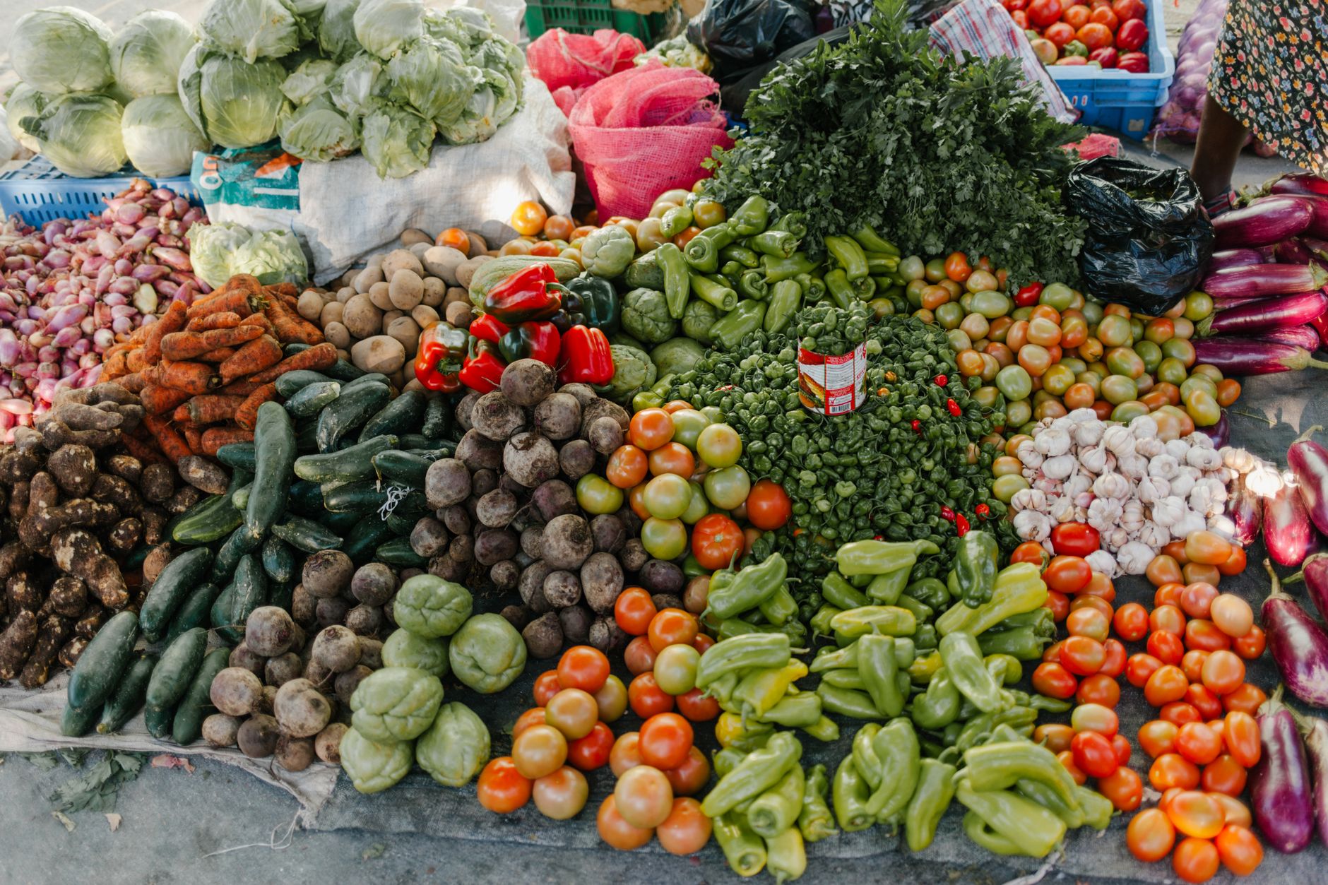 Explora la Gastronomía Ecológica en Moca, RD