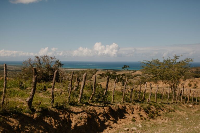 Un Día en El Seibo: Del Bosque al Mar