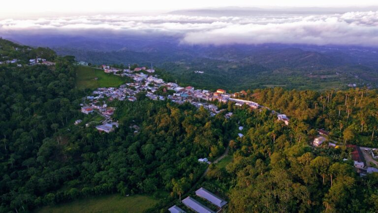 Jarabacoa: Auténtica Gastronomía