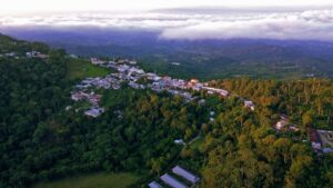 Explora la Cultura del Café en Baní