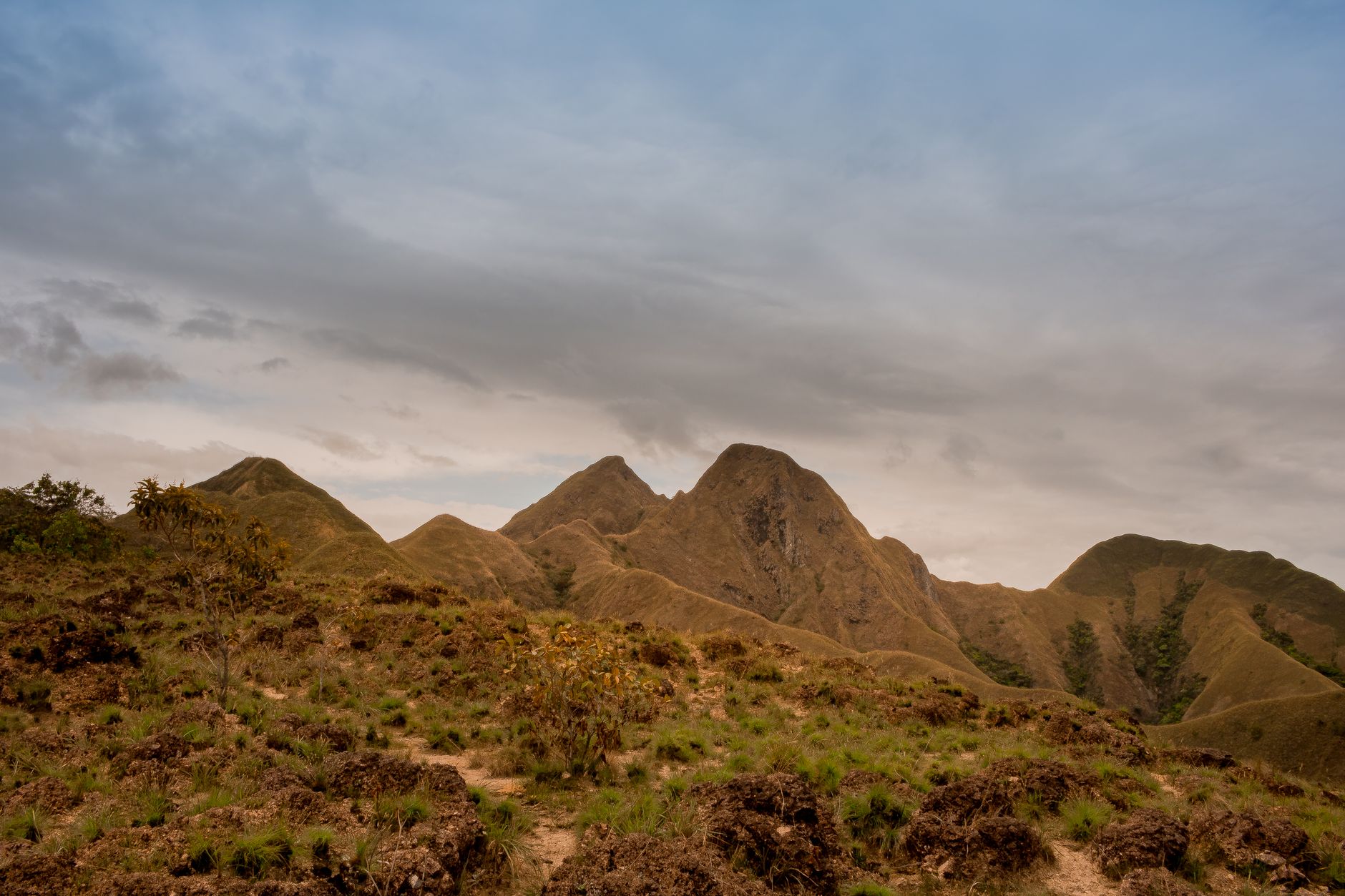 Explora la Naturaleza en el Parque Nacional Sierra Pelada, Monte Cristi