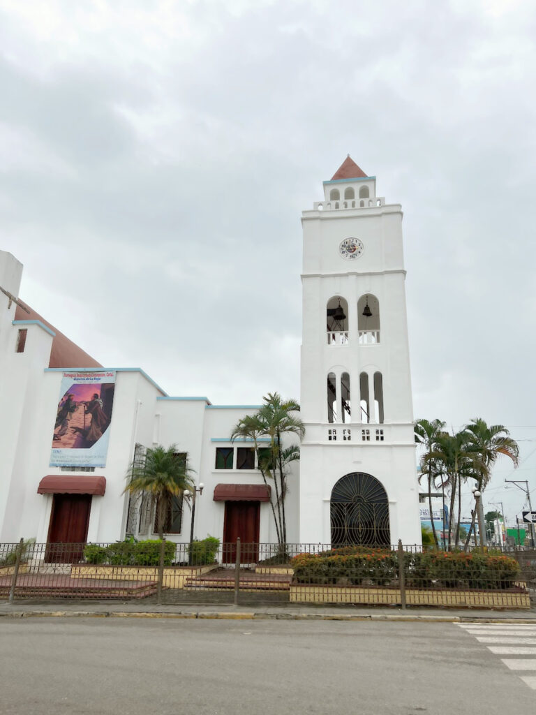 El cacao y la agricultura del Cibao central en Cotuí
